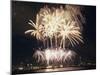 Fireworks on July 4th, at Gasworks Park; Space Needle in Background, Seattle, Washington, USA-Jamie & Judy Wild-Mounted Premium Photographic Print