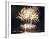 Fireworks on July 4th, at Gasworks Park; Space Needle in Background, Seattle, Washington, USA-Jamie & Judy Wild-Framed Photographic Print