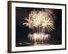 Fireworks on July 4th, at Gasworks Park; Space Needle in Background, Seattle, Washington, USA-Jamie & Judy Wild-Framed Photographic Print