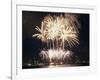 Fireworks on July 4th, at Gasworks Park; Space Needle in Background, Seattle, Washington, USA-Jamie & Judy Wild-Framed Photographic Print