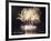 Fireworks on July 4th, at Gasworks Park; Space Needle in Background, Seattle, Washington, USA-Jamie & Judy Wild-Framed Photographic Print