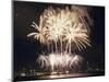 Fireworks on July 4th, at Gasworks Park; Space Needle in Background, Seattle, Washington, USA-Jamie & Judy Wild-Mounted Photographic Print