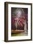 Fireworks Ring in the New Year from the Town of Hanga Roa over Moai-Michael Nolan-Framed Photographic Print