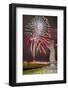 Fireworks Ring in the New Year from the Town of Hanga Roa over Moai-Michael Nolan-Framed Photographic Print