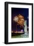 Fireworks Ring in the New Year from the Town of Hanga Roa over Moai-Michael Nolan-Framed Photographic Print