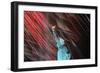 Fireworks Surrounding Statue of Liberty-Joe Polimeni-Framed Photographic Print