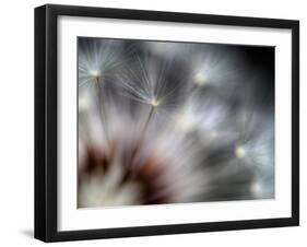 Fireworks-Ursula Abresch-Framed Premium Photographic Print