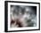 Fireworks-Ursula Abresch-Framed Premium Photographic Print