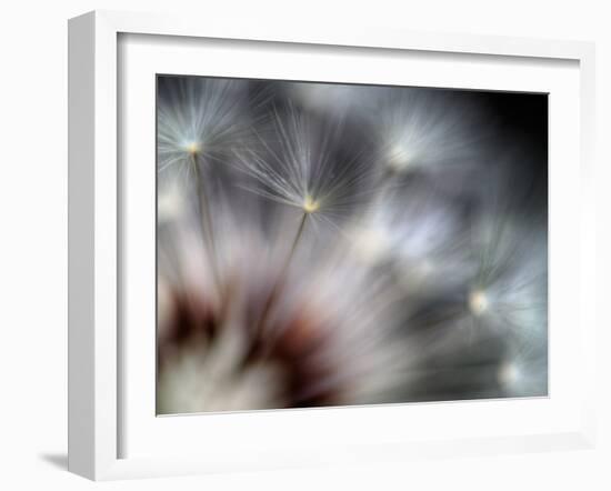 Fireworks-Ursula Abresch-Framed Photographic Print
