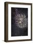 Fireworks-Robert Harding-Framed Photographic Print