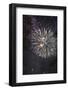 Fireworks-Robert Harding-Framed Photographic Print