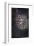 Fireworks-Robert Harding-Framed Photographic Print