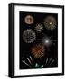 Fireworks-Pixelbliss-Framed Photographic Print