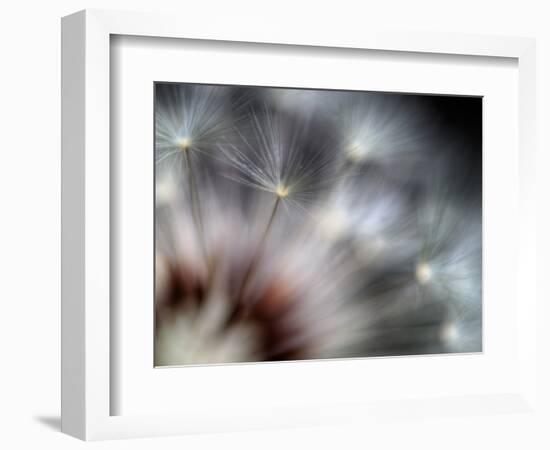 Fireworks-Ursula Abresch-Framed Photographic Print