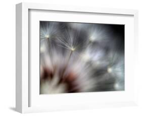 Fireworks-Ursula Abresch-Framed Photographic Print