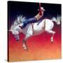 Fireworks-Julie Chapman-Stretched Canvas