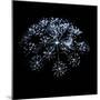 Fireworks-Philippe Sainte-Laudy-Mounted Photographic Print