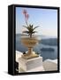 Firostefani, Santorini, Cyclades Islands, Greek Islands, Greece, Europe-Hans Peter Merten-Framed Stretched Canvas