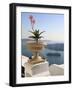 Firostefani, Santorini, Cyclades Islands, Greek Islands, Greece, Europe-Hans Peter Merten-Framed Photographic Print