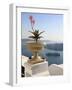 Firostefani, Santorini, Cyclades Islands, Greek Islands, Greece, Europe-Hans Peter Merten-Framed Photographic Print