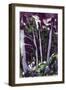 Firs, 1919-Ernst Ludwig Kirchner-Framed Giclee Print