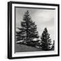 Black Frame