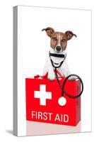 First Aid Dog-Javier Brosch-Stretched Canvas