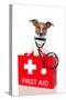 First Aid Dog-Javier Brosch-Stretched Canvas