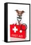 First Aid Dog-Javier Brosch-Framed Stretched Canvas