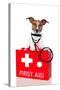 First Aid Dog-Javier Brosch-Stretched Canvas