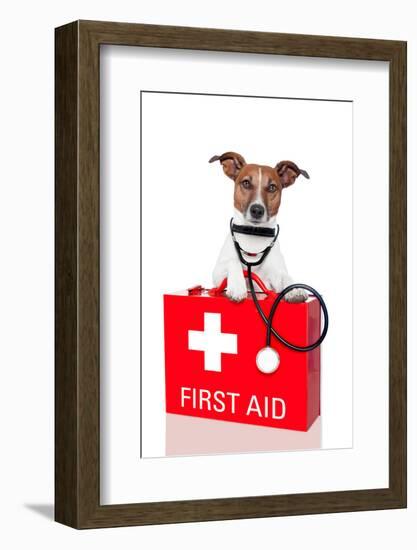 First Aid Dog-Javier Brosch-Framed Photographic Print