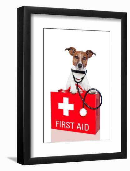 First Aid Dog-Javier Brosch-Framed Photographic Print