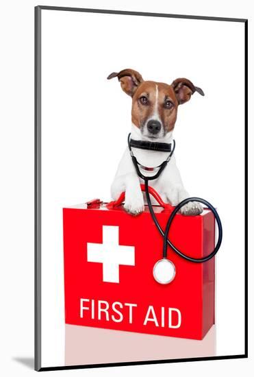 First Aid Dog-Javier Brosch-Mounted Photographic Print