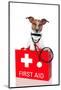 First Aid Dog-Javier Brosch-Mounted Photographic Print