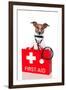 First Aid Dog-Javier Brosch-Framed Photographic Print