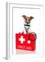 First Aid Dog-Javier Brosch-Framed Photographic Print