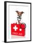 First Aid Dog-Javier Brosch-Framed Photographic Print