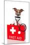 First Aid Dog-Javier Brosch-Mounted Photographic Print