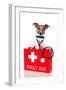 First Aid Dog-Javier Brosch-Framed Photographic Print