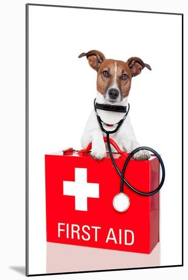 First Aid Dog-Javier Brosch-Mounted Photographic Print