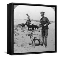 First Aid Dogs, World War I, C1914-C1918-null-Framed Stretched Canvas