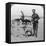 First Aid Dogs, World War I, C1914-C1918-null-Framed Stretched Canvas