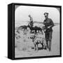 First Aid Dogs, World War I, C1914-C1918-null-Framed Stretched Canvas