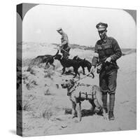 First Aid Dogs, World War I, C1914-C1918-null-Stretched Canvas