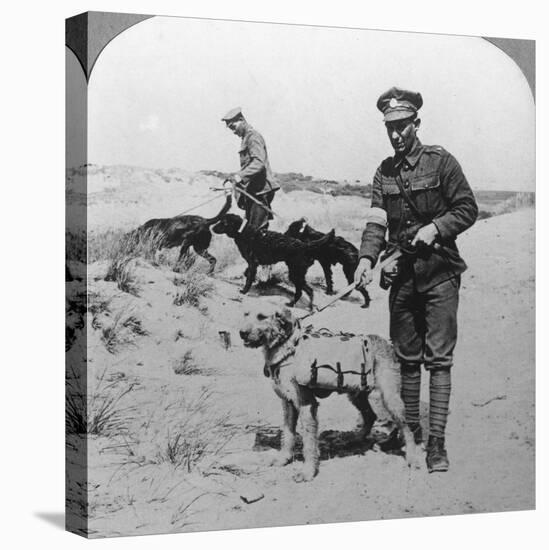 First Aid Dogs, World War I, C1914-C1918-null-Stretched Canvas