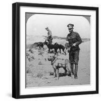 First Aid Dogs, World War I, C1914-C1918-null-Framed Photographic Print