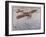 First Air Crossing of the English Channel: Over the Open Sea-H. Delaspre-Framed Art Print