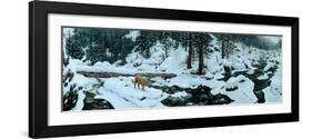 First Alert-Jeff Tift-Framed Giclee Print