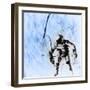 First American EVA, Gemini 4 Mission, 1965-Science Source-Framed Giclee Print