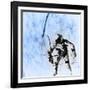 First American EVA, Gemini 4 Mission, 1965-Science Source-Framed Giclee Print